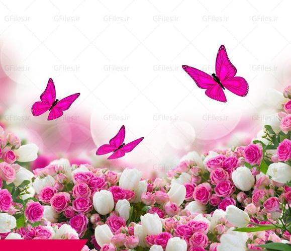 عکس عروس زیبا برای تصویر زمینه
