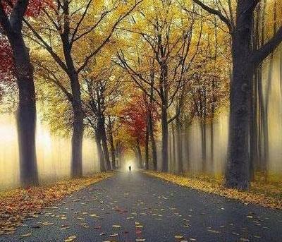 عکس عروس زیبا برای تصویر زمینه