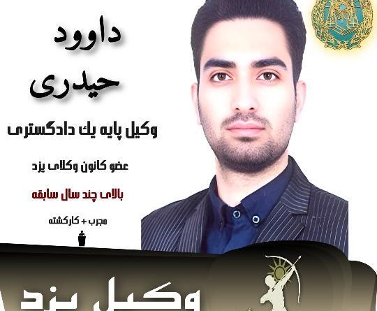 عکس داوود حیدری