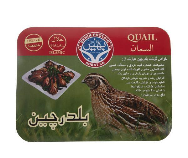 عکس امیر جدیدی و دخترش