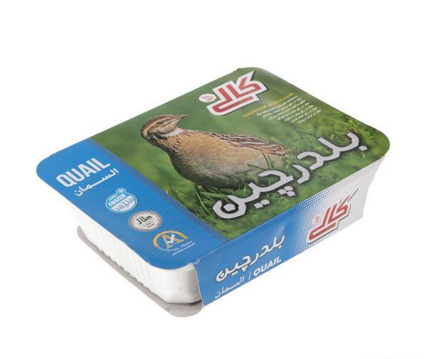 عکس امیر جدیدی و دخترش