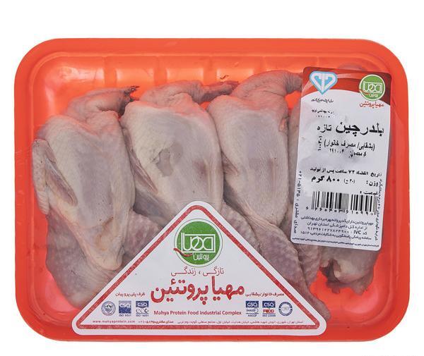 عکس امیر جدیدی و دخترش