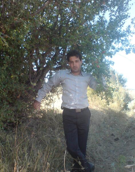 عکس ثمرین
