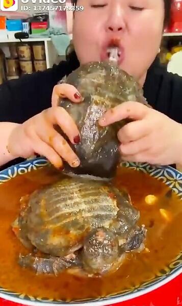 عکس غذا خوردن چینی ها