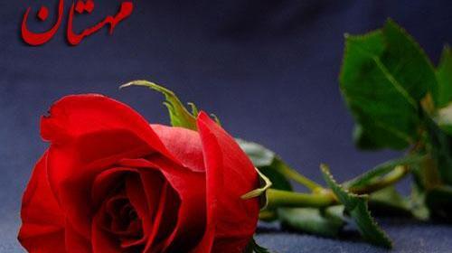 عکس گل رز قرمز تک