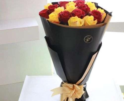 عکس گل رز قرمز تک