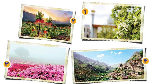 عکس بهشت کودکان
