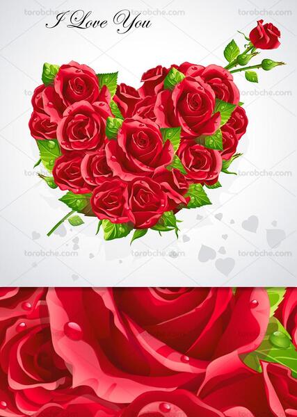 عکس قلب با گل عاشقانه