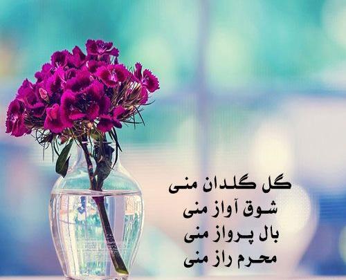 عکس قلب با گل عاشقانه