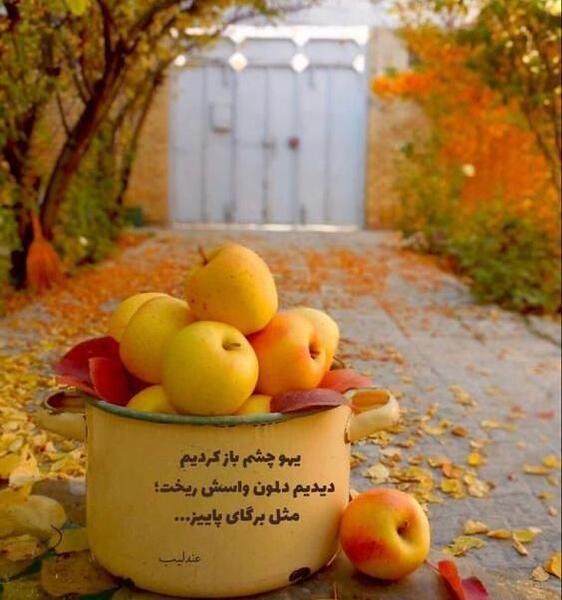 عکس پاییزی شاد
