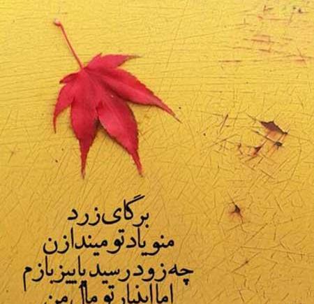 عکس پاییزی شاد