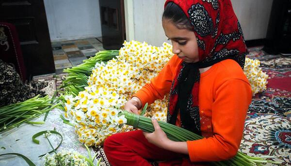 عکس گل نرگس غمگین