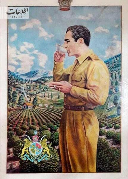 عکس چای دبش