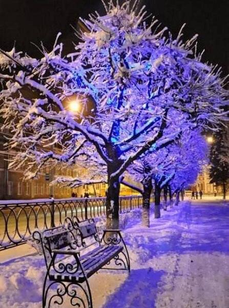 عکس کلبه در برف