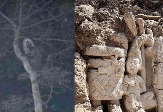 عکس جن خوب