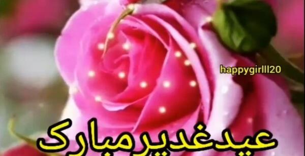 عکس خرگوش ریز