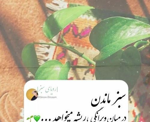 عکس نوشته تیکه دار خیلی خفن