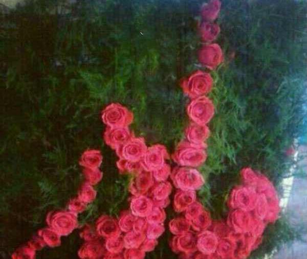 عکس پیام تبریک روز زن به اعضای گروه