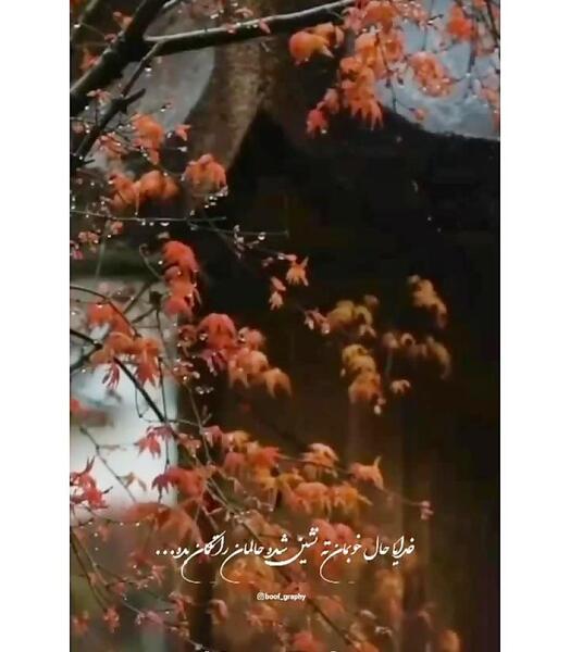 عکس سعید ضیا خواننده لر