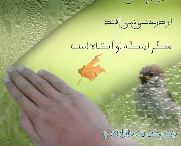 عکس نوشته خدا حواسش بهم هست