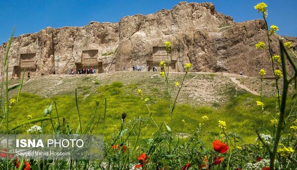 عکس داریوش دوم
