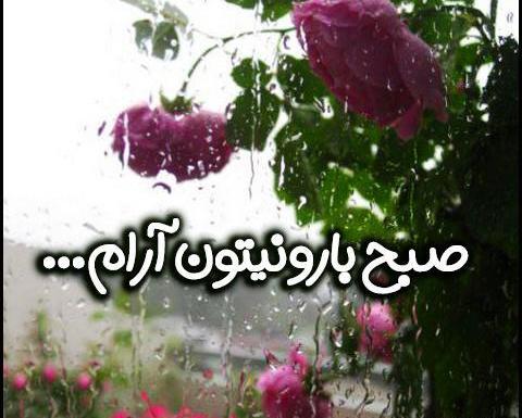 عکس روز خوش