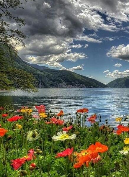 عکس کیوت طبیعت