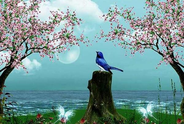 عکس گل و بلبل برای پروفایل