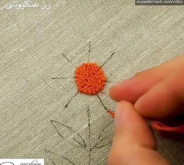 عکس گل رز عنکبوتی
