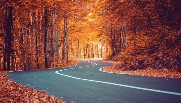 عکس قشنگ پاییزی برای پروفایل