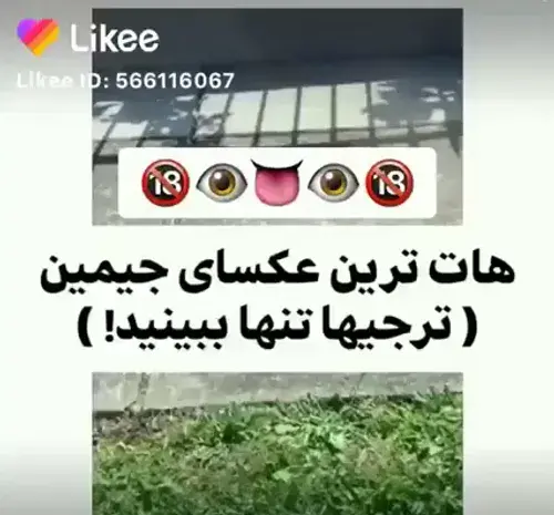 عکس جیمین هات ویسگون