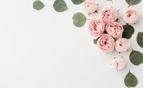 عکس سفید قلبی