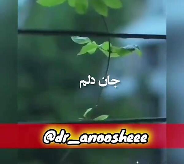 عکس نوشته تولدت مبارک جان دلم