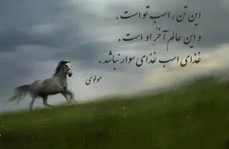 عکس اسب لب دریا