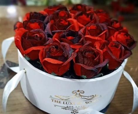 عکس گل رز فرانسوی