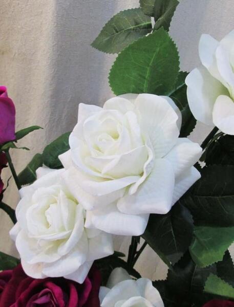 عکس گل رز فرانسوی