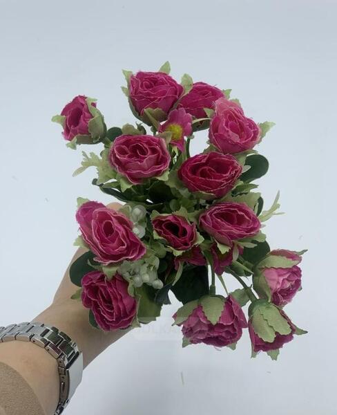 عکس گل رز فرانسوی