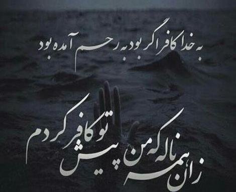 عکس مرغ عشق تازه متولد شده