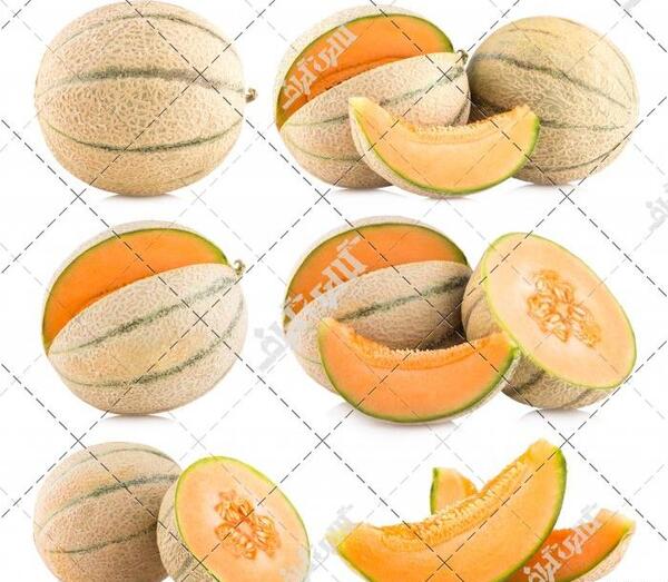 عکس شایان طالبی