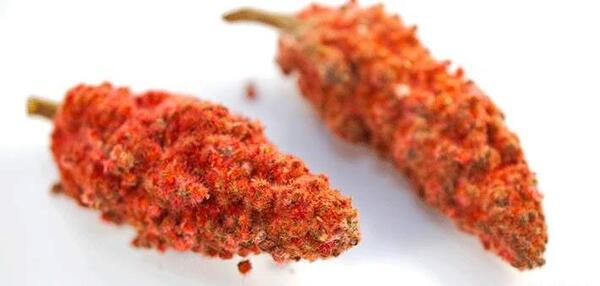 عکس سماق