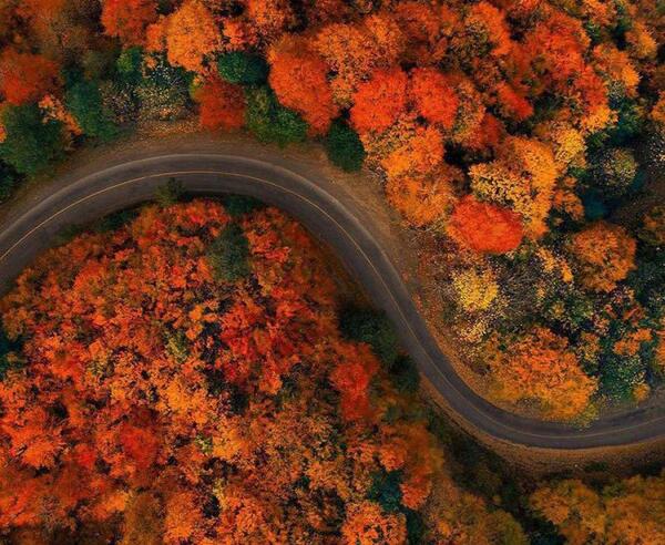 عکس جاده غول