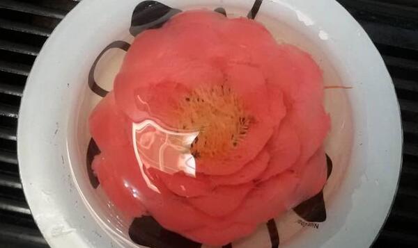 عکس ژله تزریقی گل رز