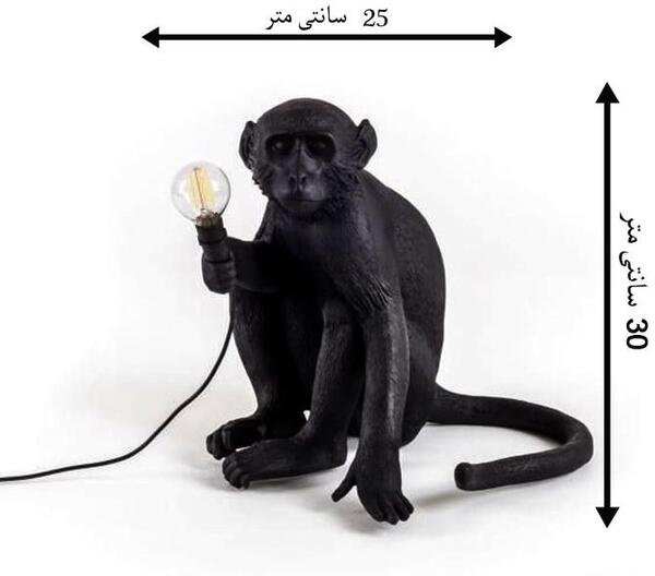 عکس میمون ظرفشور