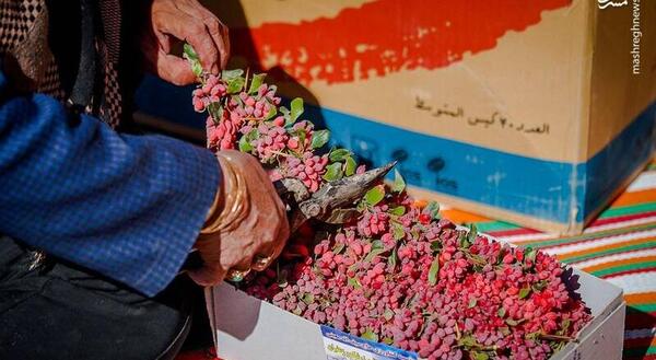 عکس چم زرشک علیا