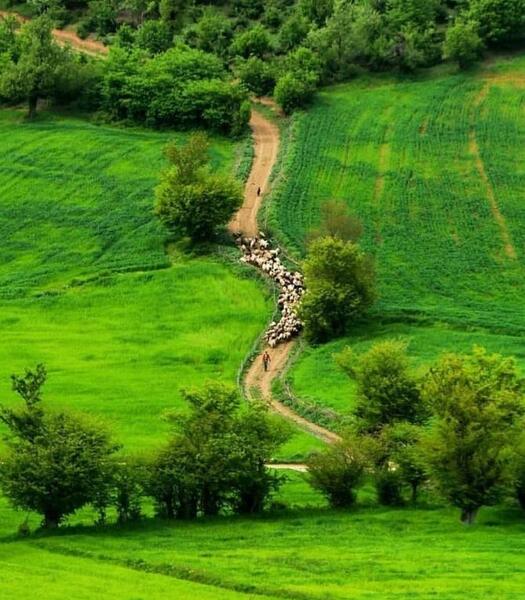عکس زیبای طبیعت گردی
