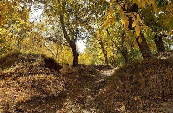 عکس زیبای طبیعت گردی