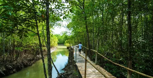 عکس زیبای طبیعت گردی