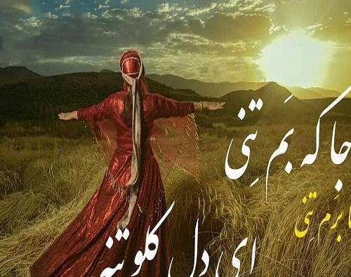 عکس شاد لری