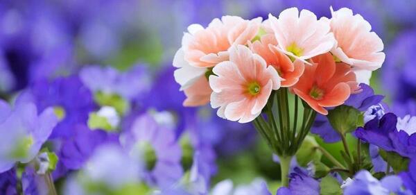 عکس نوشته طبیعت بارانی