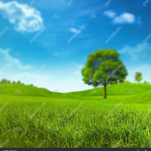 عکس ظهر